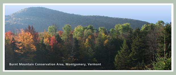 Burnt Mountain Conservation Area, Vermont