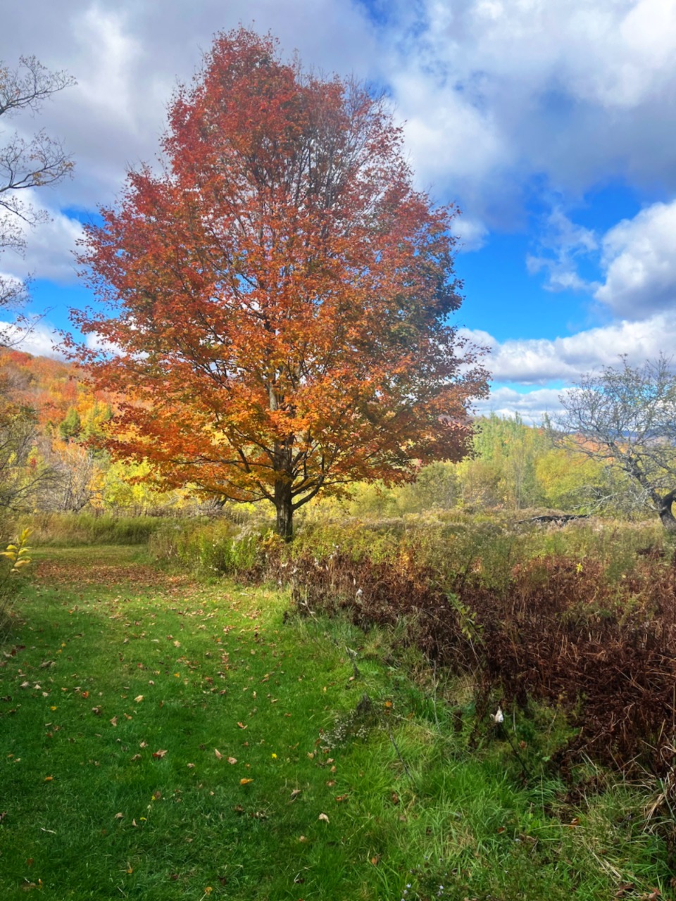 High Ponds Farm Nature Preserve